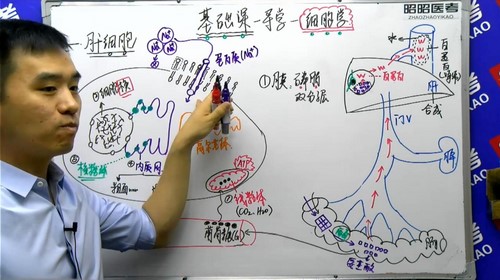 2021昭昭医考基础精讲班病理学（15.2G高清视频）百度网盘分享